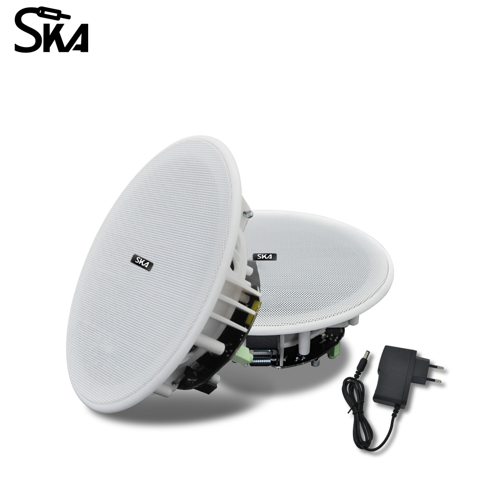 Haut-parleur Bluetooth Encastr - Home Cinema Plafond avis et prix
